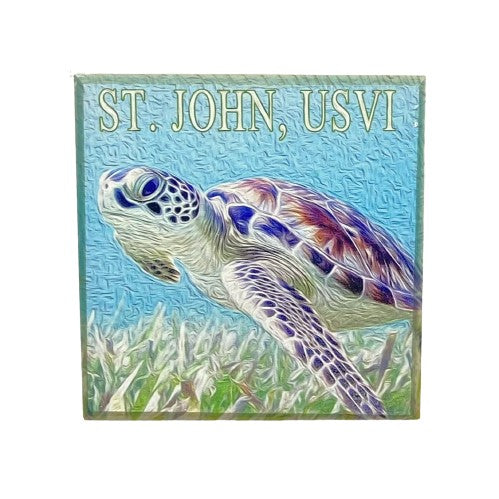 SEA TURTLE ST. JOHN, USVI